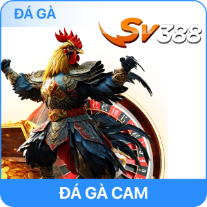 đá gà win55